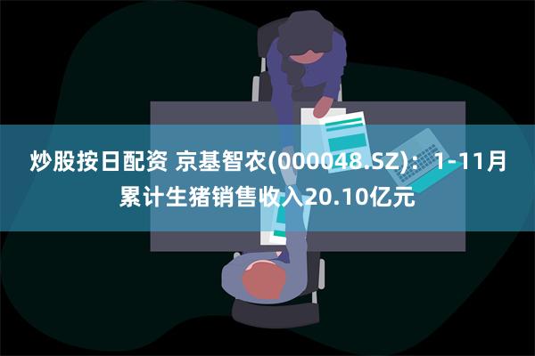 炒股按日配资 京基智农(000048.SZ)：1-11月累计生猪销售收入20.10亿元