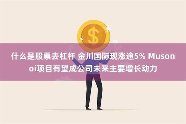 什么是股票去杠杆 金川国际现涨逾5% Musonoi项目有望成公司未来主要增长动力