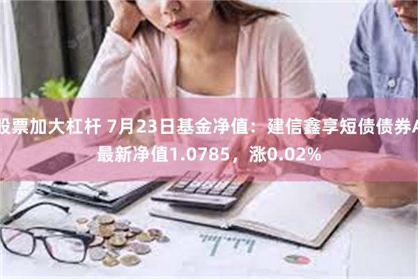 股票加大杠杆 7月23日基金净值：建信鑫享短债债券A最新净值1.0785，涨0.02%