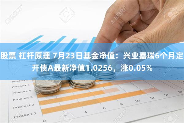 股票 杠杆原理 7月23日基金净值：兴业嘉瑞6个月定开债A最新净值1.0256，涨0.05%