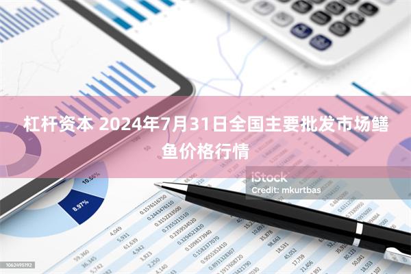 杠杆资本 2024年7月31日全国主要批发市场鳝鱼价格行情