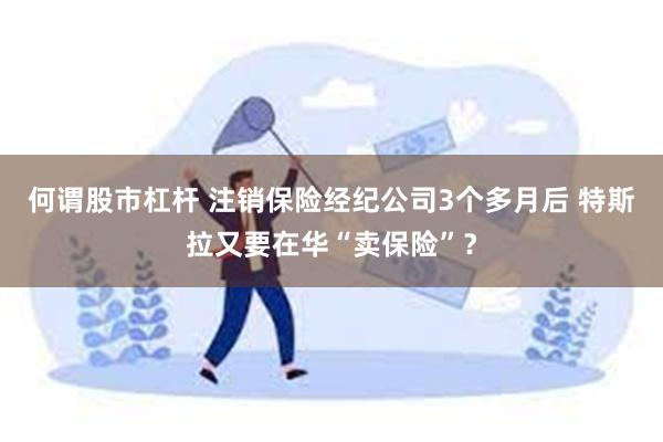 何谓股市杠杆 注销保险经纪公司3个多月后 特斯拉又要在华“卖保险”？