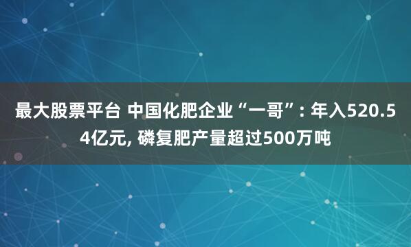 最大股票平台 中国化肥企业“一哥”: 年入520.54亿元, 磷复肥产量超过500万吨