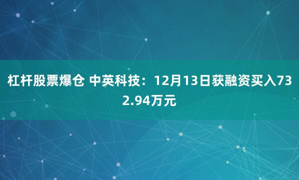 杠杆股票爆仓 中英科技：12月13日获融资买入732.94万元