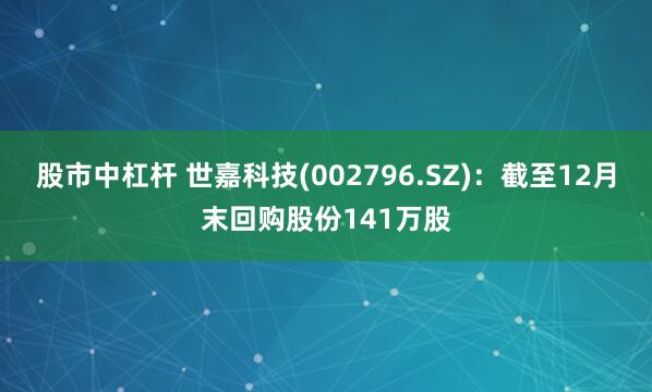 股市中杠杆 世嘉科技(002796.SZ)：截至12月末回购股份141万股