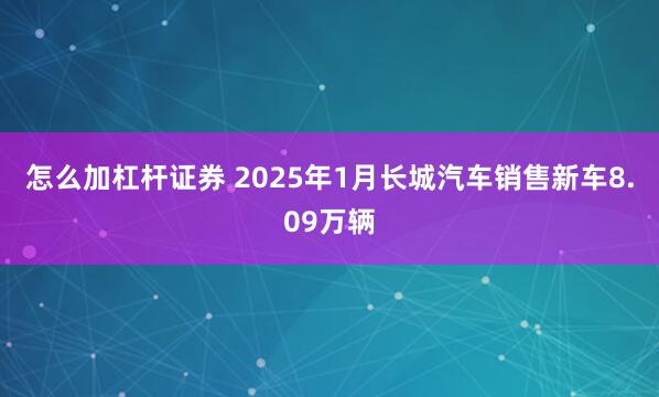 怎么加杠杆证券 2025年1月长城汽车销售新车8.09万辆