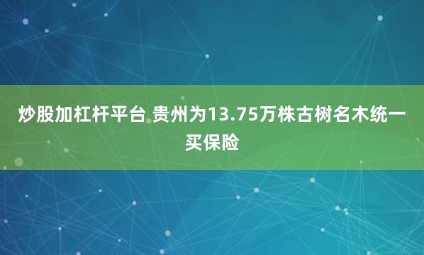 炒股加杠杆平台 贵州为13.75万株古树名木统一买保险