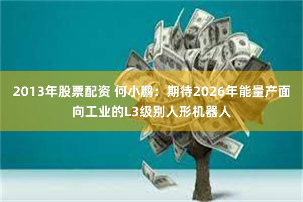 2013年股票配资 何小鹏：期待2026年能量产面向工业的L3级别人形机器人