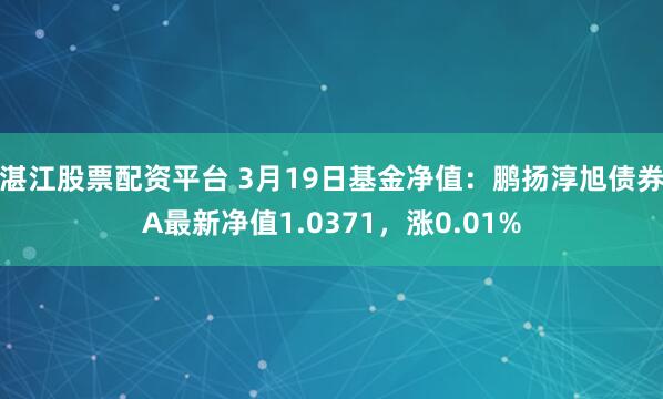 湛江股票配资平台 3月19日基金净值：鹏扬淳旭债券A最新净值1.0371，涨0.01%